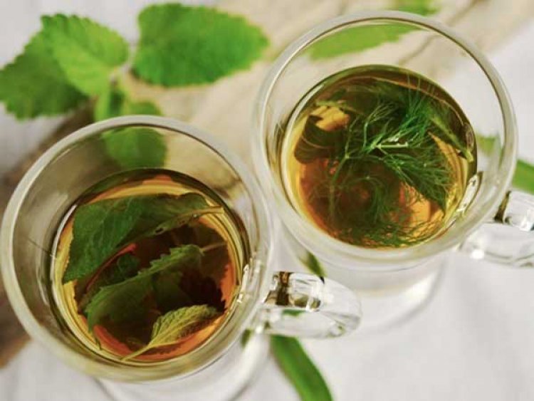Study suggests green tea may help fight COVID-19