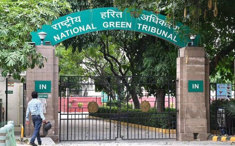 NGT forms 3-member committee to evaluate risk over Nayara Energy expansion