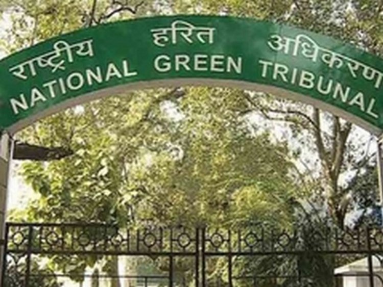 NGT directs Delhi chief secy to take action over failure to maintain sewer channel at Saket Court