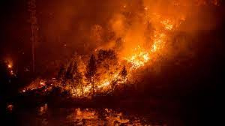Biden says Ida, wildfires show 'climate crisis' has struck