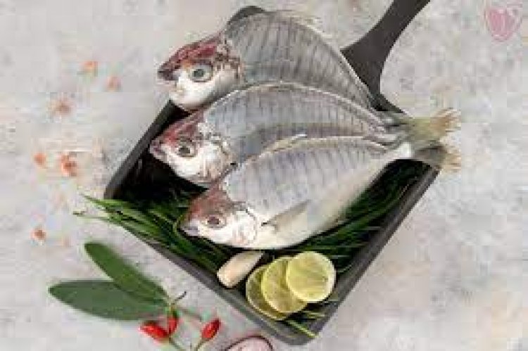 Tendercuts Committed To Promote Local Varieties Of Fish And Its Nutritional Aspects