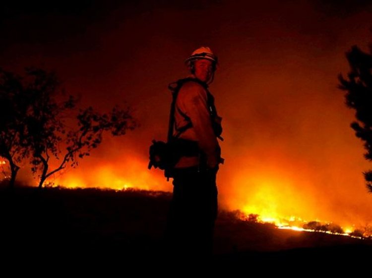Wildfires surrounding California sequoia groves spread to almost 40K acres