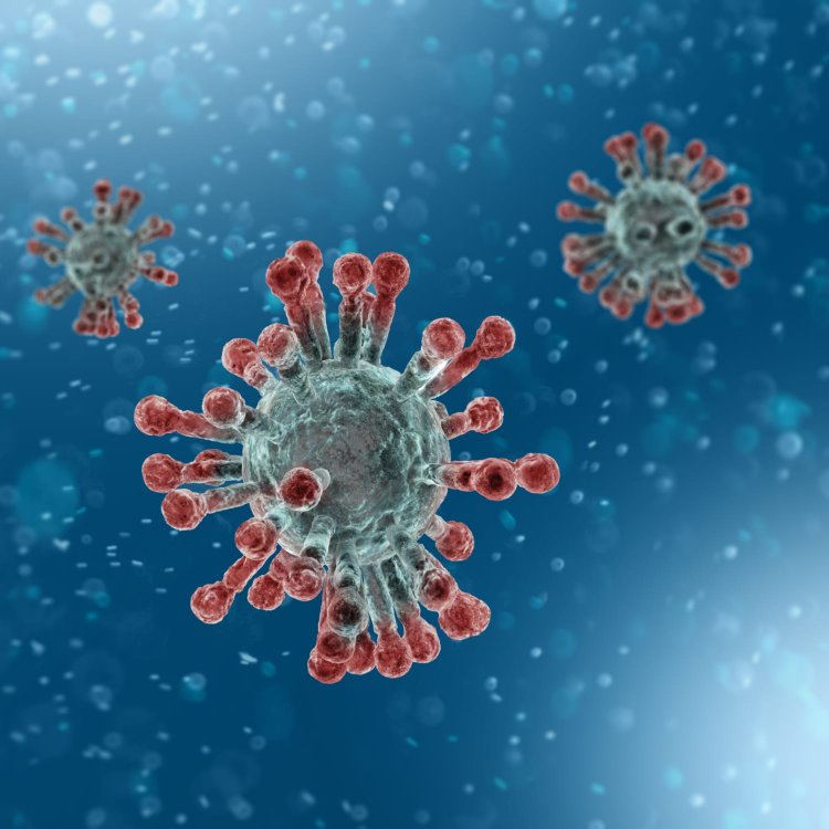 New coronavirus variants causing surge in cases in US, shows CDC data