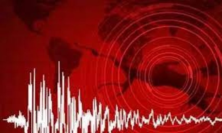 4.1-magnitude quake hits Assam