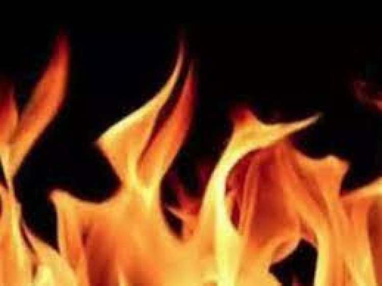 Fire breaks out at factory in Rajasthan's Dausa