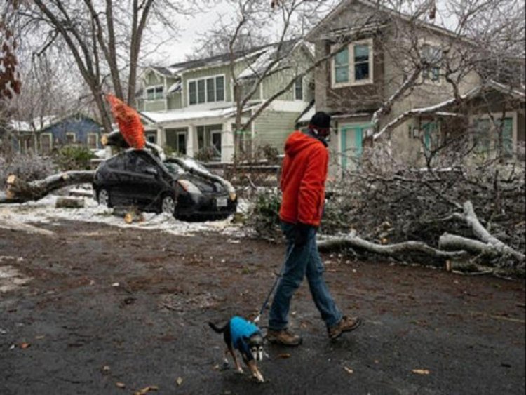 Overnight storms knock out power, damage trees in parts of southern US