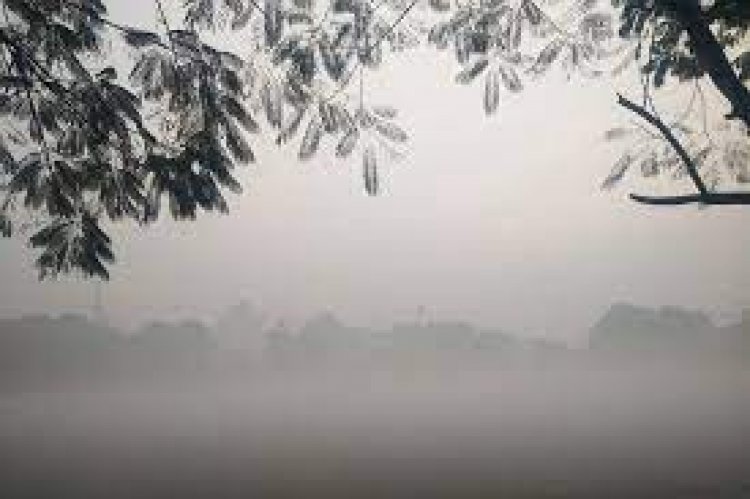 At 3.6 degree Celsius Bathinda coldest place in Punjab, Haryana
