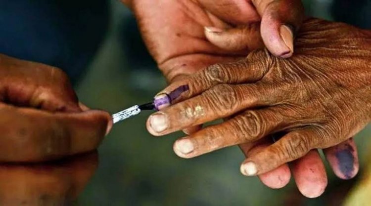 Polling for 2 RS seats in Haryana begins