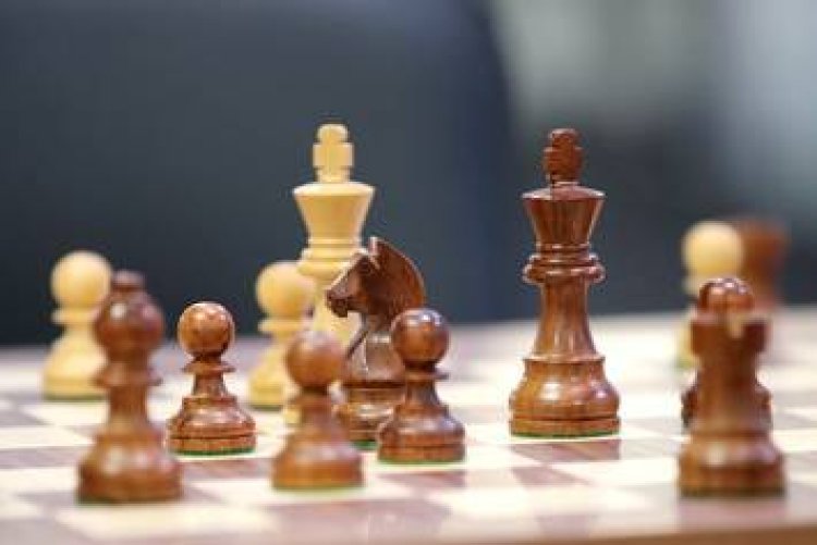Indian GM S L Narayanan wins Cattolica International Open chess tourney