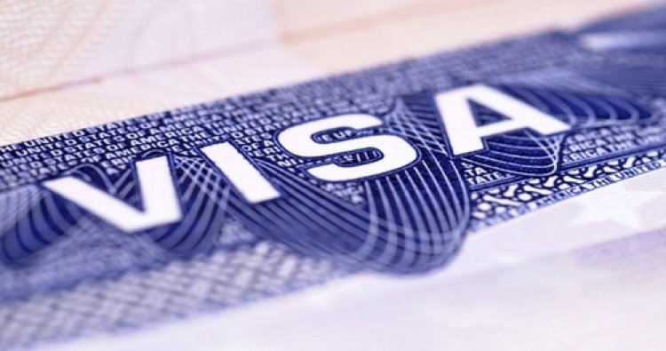 SpiceJet, Visa2Fly partner to launch online visa service