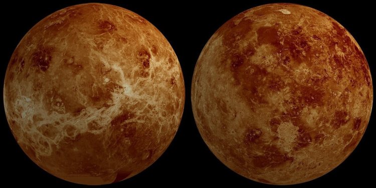 No evidence of life on Venus found yet: Study