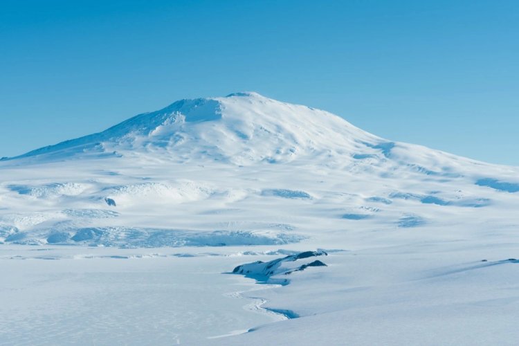 Scientists uncover evidence that the Late Cretaceous hosted icy conditions in Antarctica