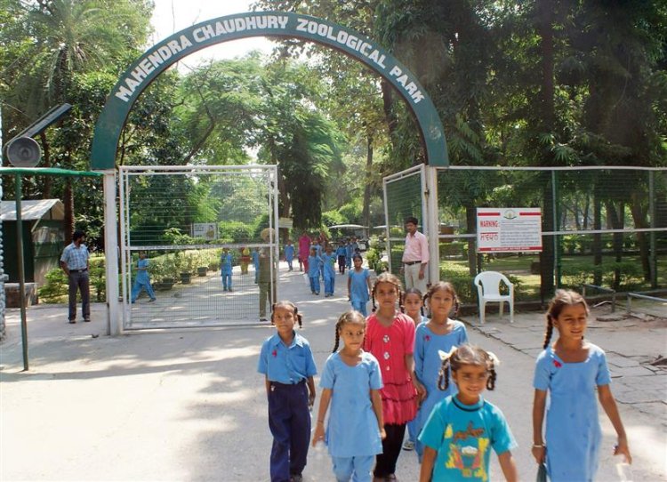 National Wildlife Week: Free entry to zoos in Haryana