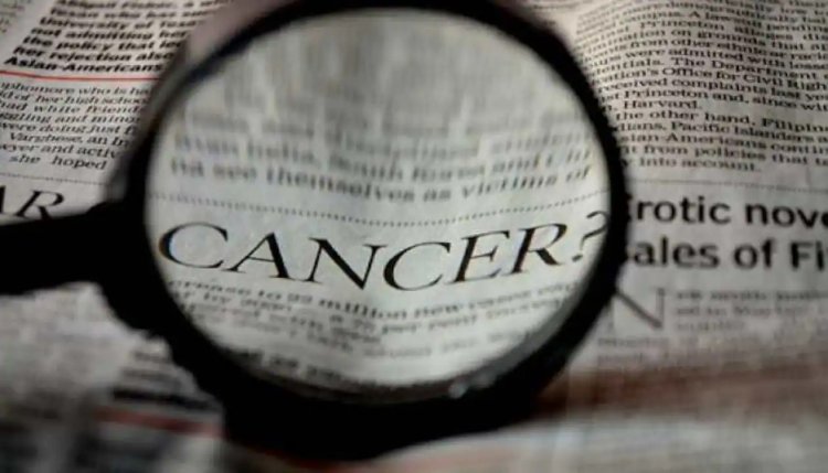 Innovative antibody method targets deep-rooted cancer mutations: Research