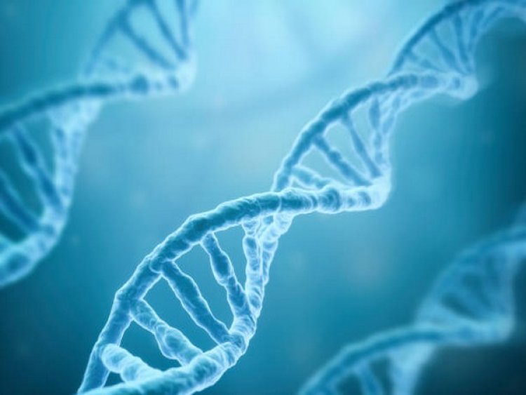 Early life events can have long-term effect on genes: Study