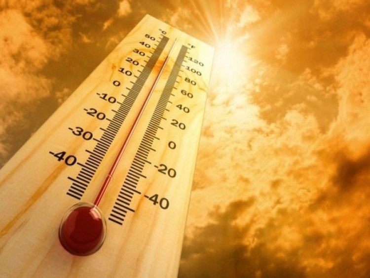 'India could experience heatwaves that break human survivability limit'