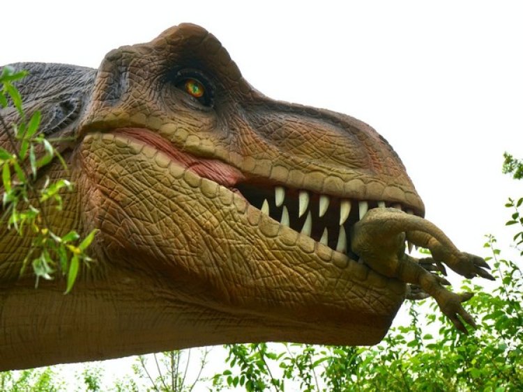 Scientists discover what all did earliest dinosaurs like to eat from their teeth
