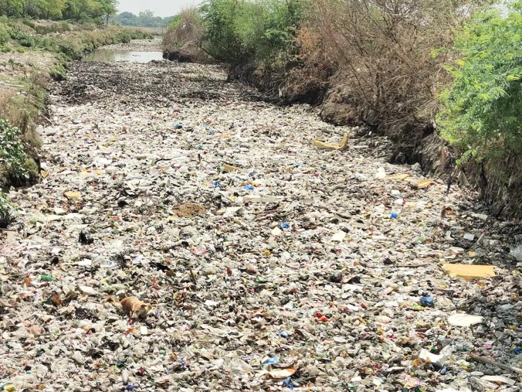 Delhi LG urges to people not to throw garbage directly into Najafgarh Drain