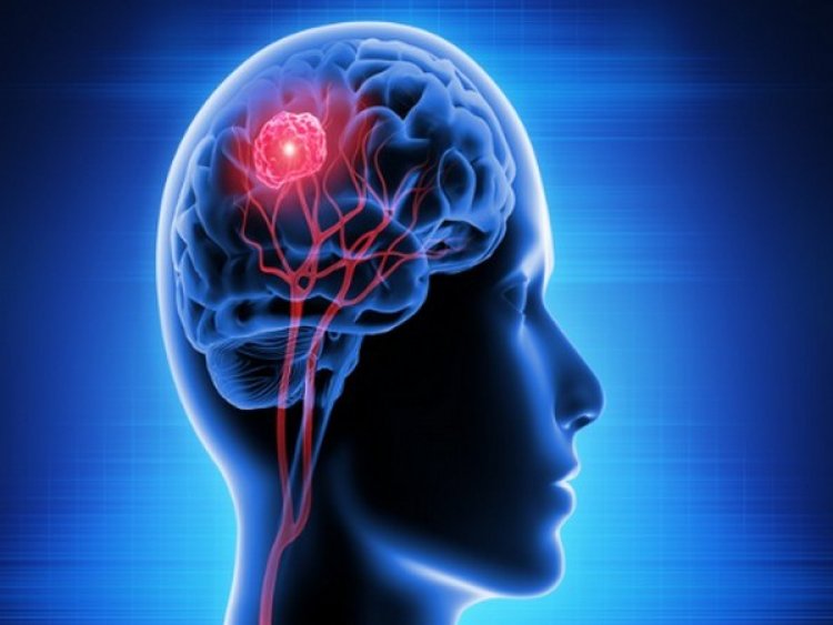 Brain game can predict risk of infection: Study