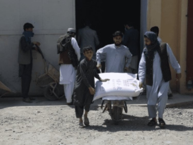UN committed to delivery of humanitarian aid in Afghanistan, says envoy