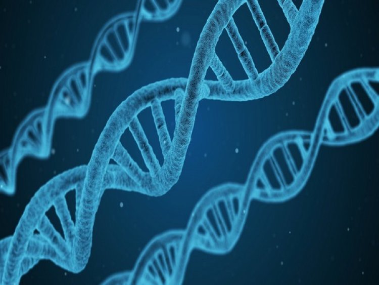 Scientists study 155 new genes to see how humans continue to evolve