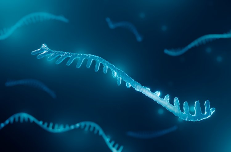 Researchers discover toolkit for RNA sequencing analysis using pantranscriptome
