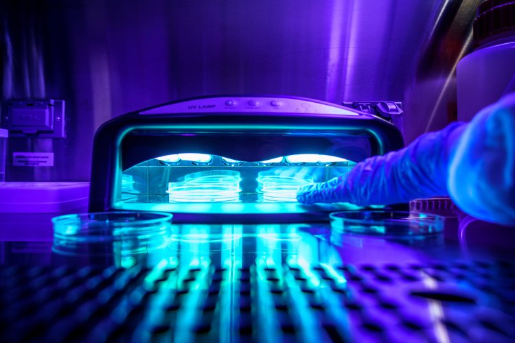 Ultraviolet light emitting devices leads to cell death, cancer-causing mutations in human