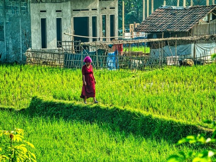 Here's how women working on farms in Indonesia are driving force of change
