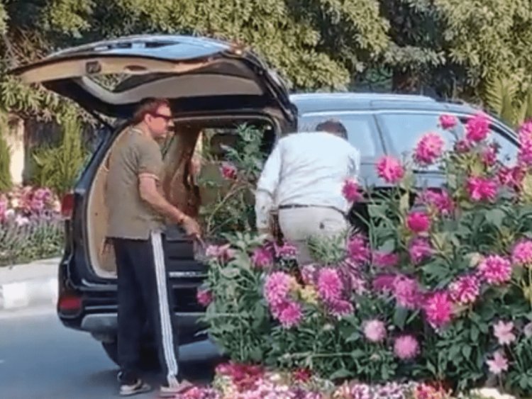 Man held for stealing flower pots set up for G20 event in Gurugram