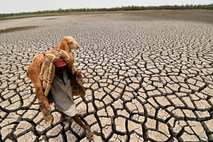 El Nino expected to return, likely to spike global temperatures: WMO