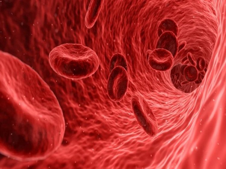 Study reveals red blood cells exposed to oxygen deficiency help to fight against myocardial infarction