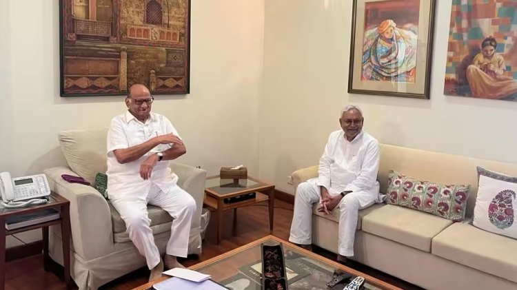 "If we work together...," Sharad Pawar, Nitish Kumar plan joint Opposition fight against BJP