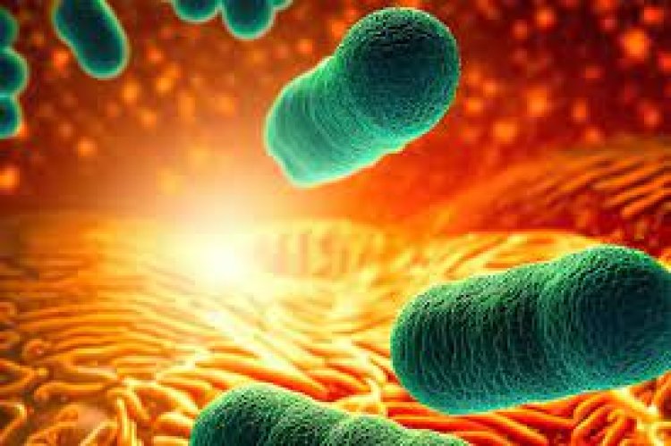 Heat-loving marine bacteria may help detoxify asbestos: Study