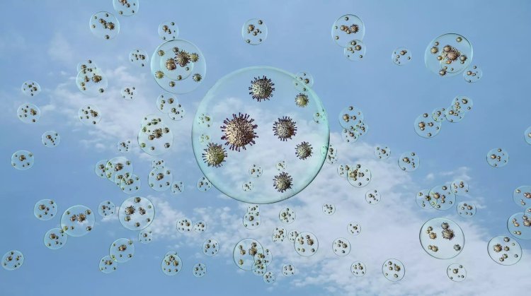 Researchers discover critical factors that determine survival of airborne viruses