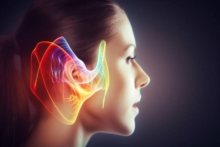 Study reveals how ear can inform brain of whether hearing is impaired