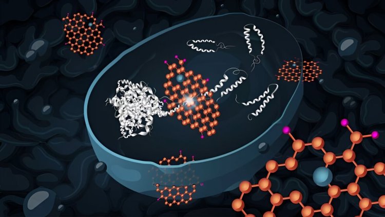 Graphene oxide nanoflakes lower toxicity of Alzheimer's proteins: Study