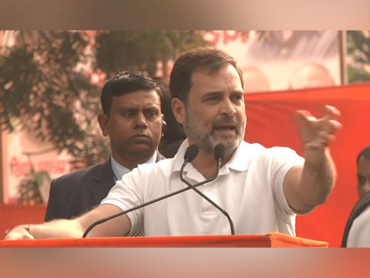 "By suspending 150 MPs, govt muffled voices of 60 percent people of India": Rahul Gandhi