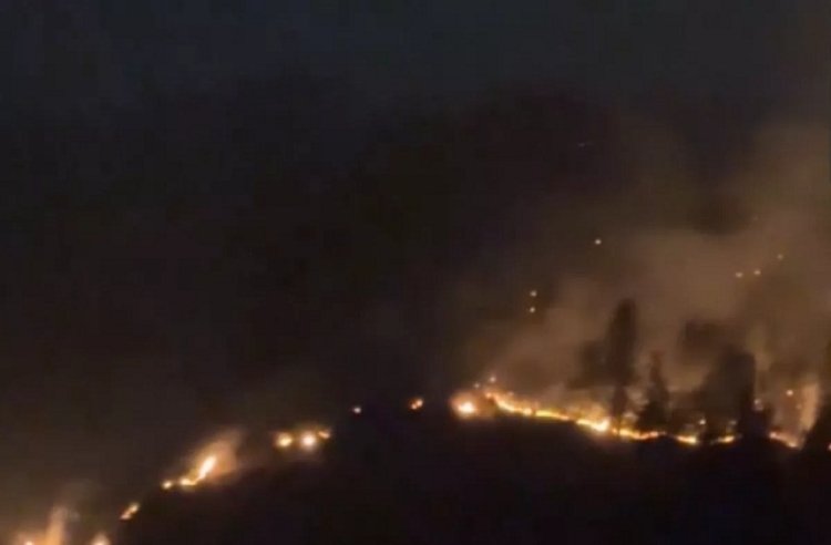 Himachal Pradesh: Massive fire breaks out in Patlikuhal forest area of Kullu