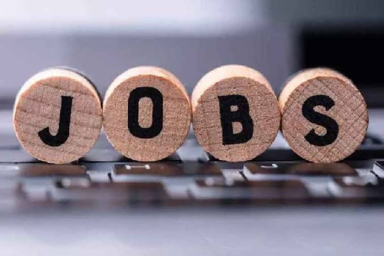 Centre to launch 2nd version of National Career Service portal in 2024