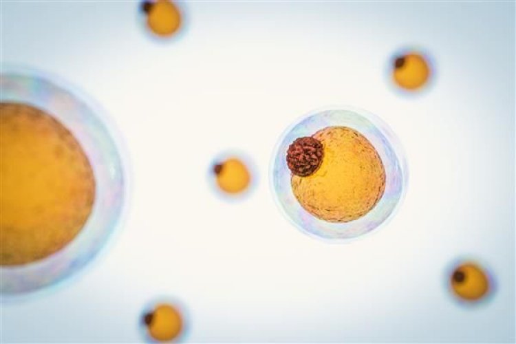 Rare fat molecule helps drive cell death: Study