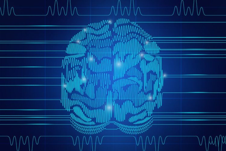Study suggests how brain waves are part of memory