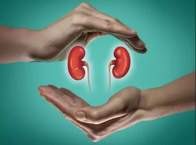 Simple measurement may predict risk of worsening kidney disease: Study