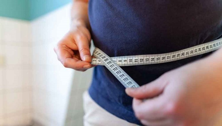 Abdominal fat can influence brain health, cognition in high Alzheimer's risk patients: Study