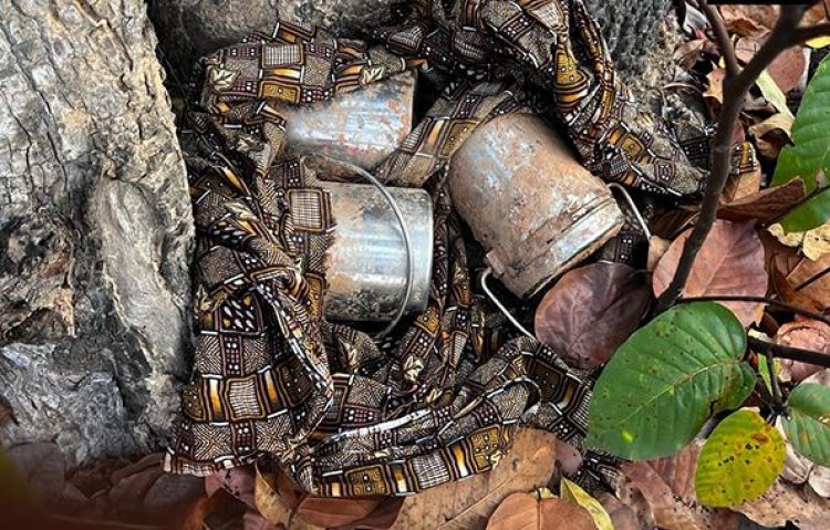Four IEDs, explosives planted by Naxals recovered in Jharkhand