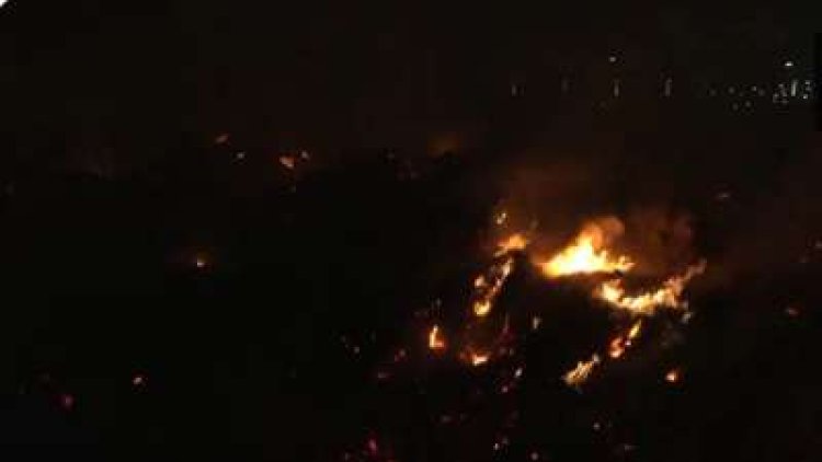 UP: Fire breaks out at horticulture dumping yard in Noida
