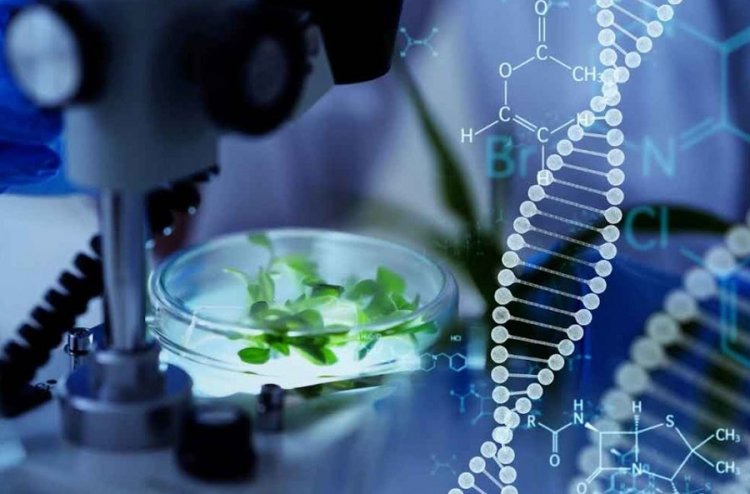 Simple method can increase accuracy of plant genetics research: Study