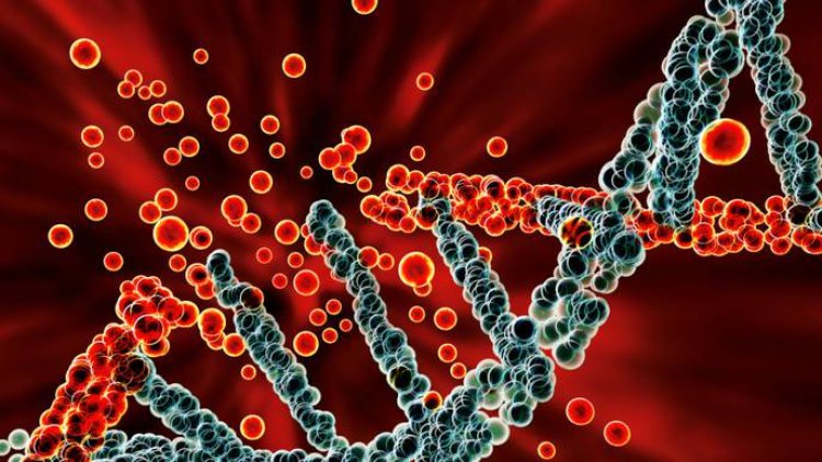 Researchers reveal impact of aldehydes on DNA damage, ageing