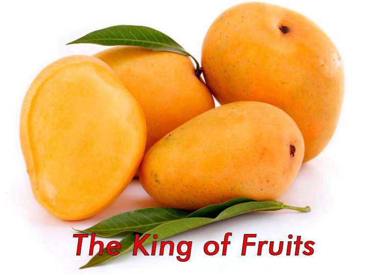 Mango The King Of Fruit