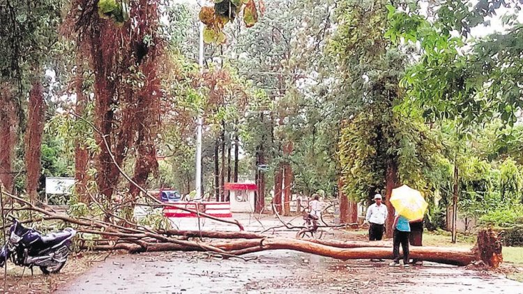 Rains, thunderstorm leave nearly 50 dead in 4 states