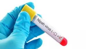 College student in Kochi infected with Nipah: Ker Heath Min